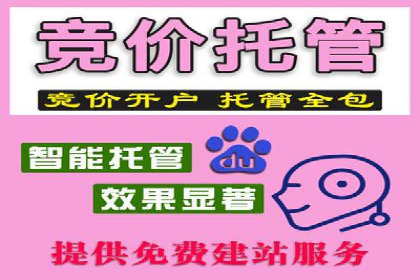 案例分析：SEM优化师如何优化广告投放策略